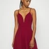 WAL G. VINCENT SKATER DRESS - Cocktail Dress / Party Dress - Wine